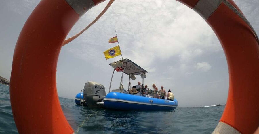 Puerto Colon: Dolphin and Whale Watching Speedboat Tour - The Puerto Colón Start: Where the Day Really Begins