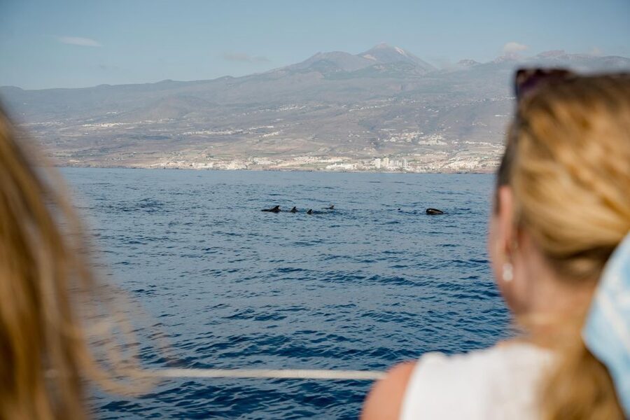 Puerto Colon: Whale and Dolphin Watching Yacht Trip - Key reasons you’ll like this yacht trip