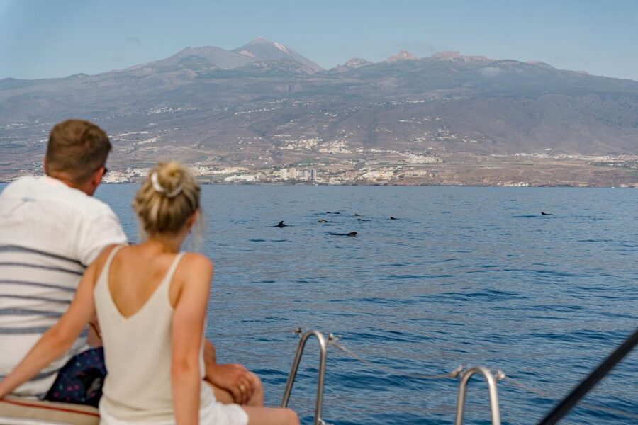 Puerto Colon: Whale and Dolphin Watching Yacht Trip - The secluded cove: snacks, drinks, and your Atlantic swim