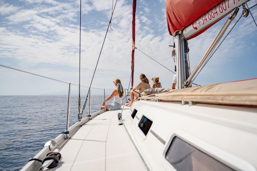 Puerto Colon: Whale and Dolphin Watching Yacht Trip - Who this tour suits best (and who should reconsider)