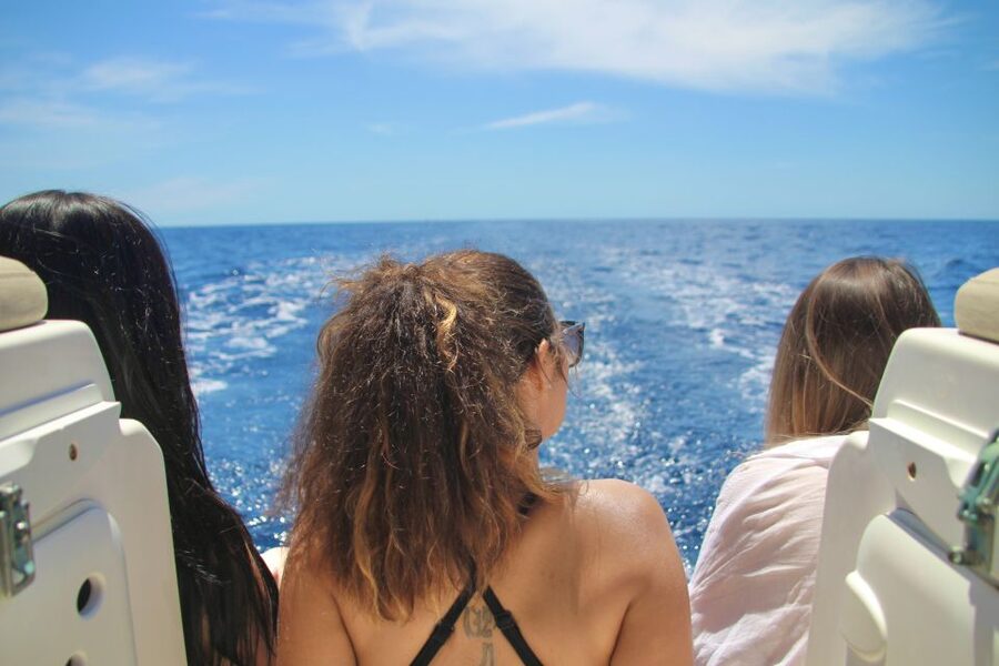 Puerto Colon : Whale & Dolphins Sailing Excursion - Which animals you’re most likely to spot