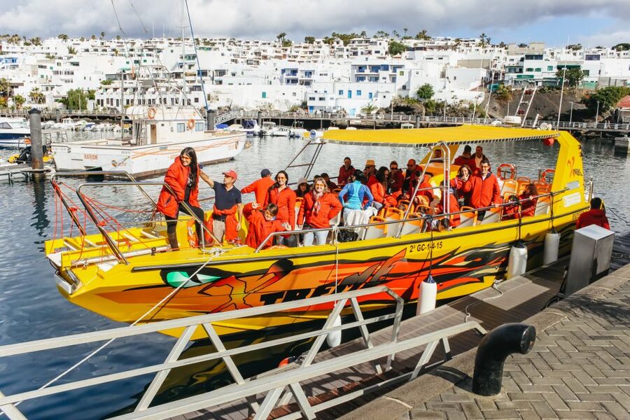 Puerto del Carmen: Dolphin-Watching Speedboat Tour with Swim - Key Takeaways Before You Go