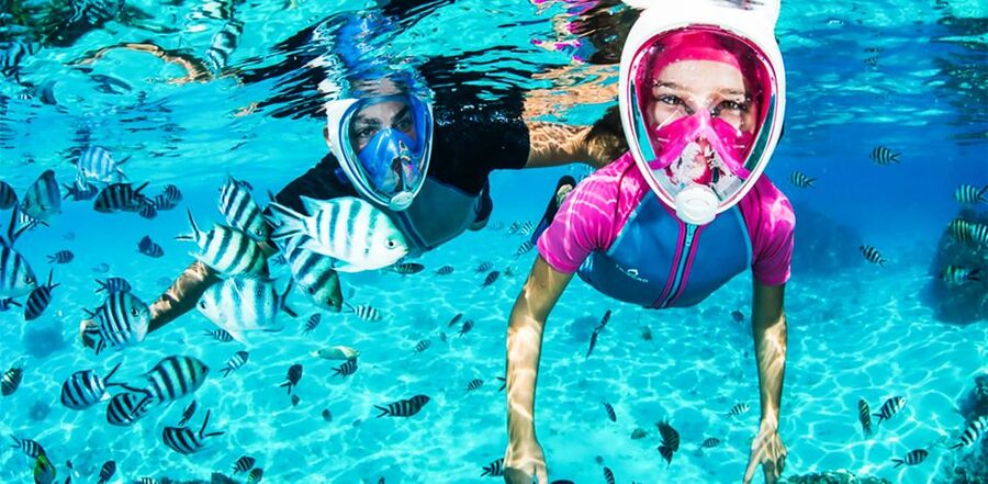 Puerto del Carmen: Dolphin-Watching Speedboat Tour with Swim - Entering The Biosfera Jet Experience from Puerto del Carmen