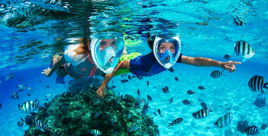 Puerto del Carmen: Dolphin-Watching Speedboat Tour with Swim - Who This Tour Fits Best (and Who Should Rethink It)