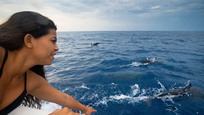 Puerto Escondido: Boat Tour among Dolphins and Turtles - Morning Start at 7:00: Getting to the Beach Without Stress