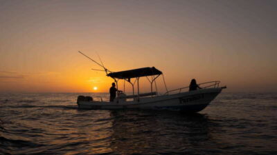 Puerto Escondido: Boat Tour among Dolphins and Turtles - The 3-Hour Pacific Cruise: Why the Timing Boosts Your Odds
