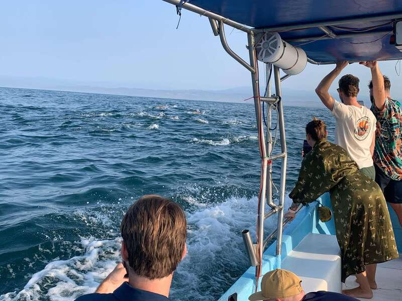 Puerto Escondido: Boat Tour to see Dolphins and Marine Life - Key things worth knowing before you go