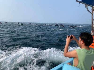 Puerto Escondido: Boat Tour to see Dolphins and Marine Life - The dolphin mission: why this feels better than a photo safari