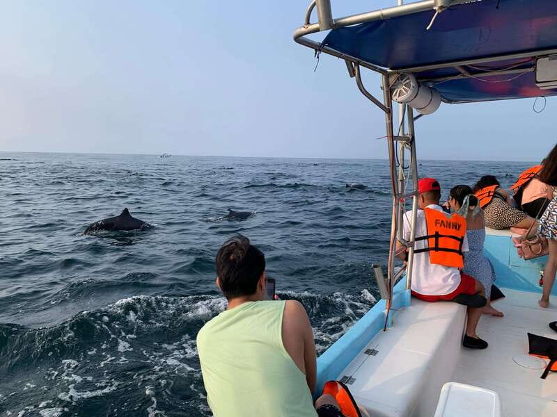 Puerto Escondido: Boat Tour to see Dolphins and Marine Life - Whale watching season: humpbacks from November to March