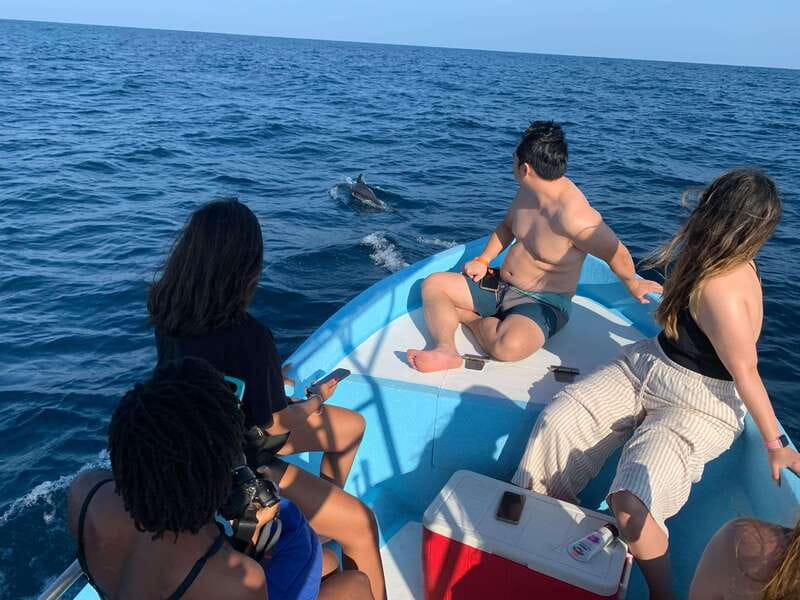 Puerto Escondido: Boat Tour to see Dolphins and Marine Life - On-board comfort: music, cooler drinks, and photo time