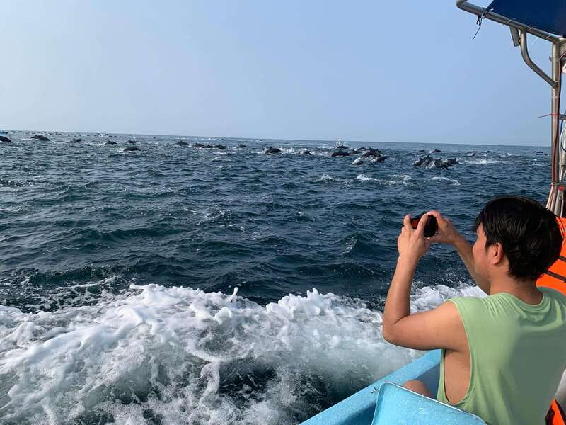 Puerto Escondido: Boat Tour to see Dolphins and Marine Life - The dolphin mission: why this feels better than a photo safari