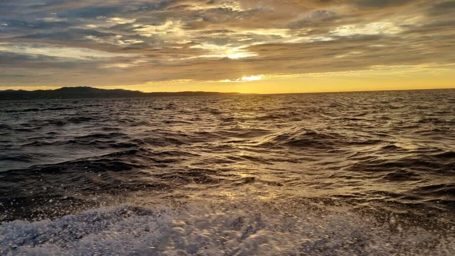 Puerto Escondido: The Best Adventure for Dolphin Watching - From Puerto Angelito Beach to Offshore Pods in About 3 Hours