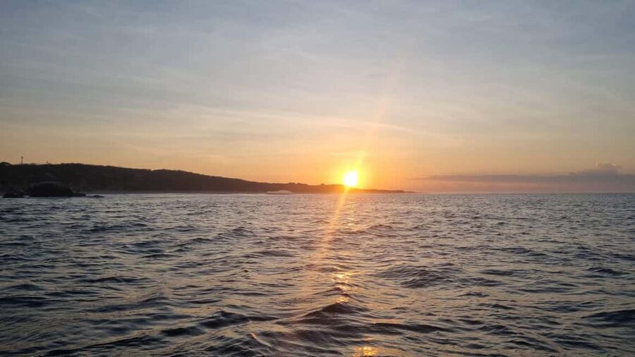 Puerto Escondido: The Best Adventure for Dolphin Watching - Price and Value: What $52 Buys on the Water