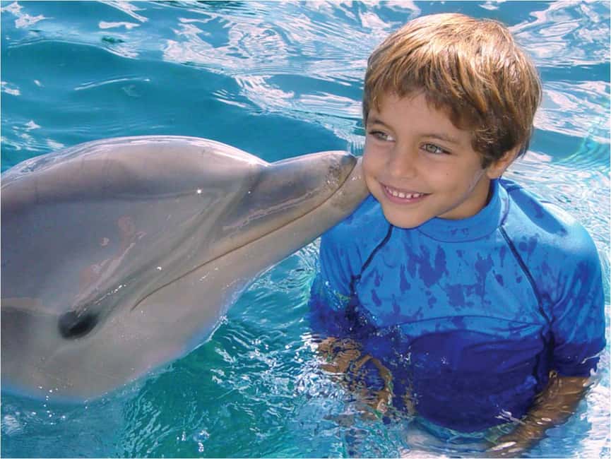 Puerto Plata: Dolphin Encounter at Ocean World - Key highlights you’ll actually care about