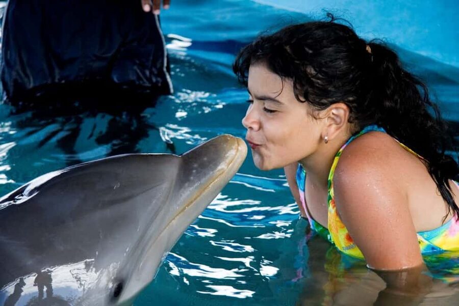 Puerto Plata: Dolphin Encounter at Ocean World - Dolphin Encounter in Waist-Deep Water at Ocean World Puerto Plata