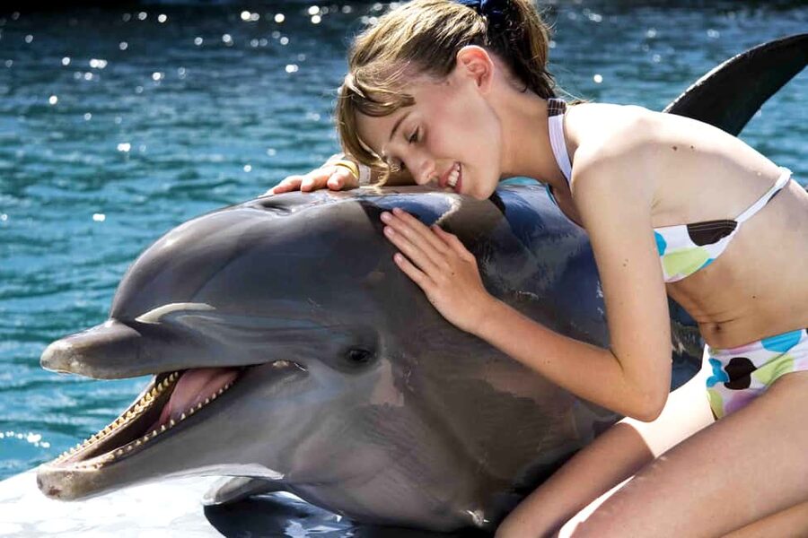 Puerto Plata: Dolphin Encounter at Ocean World - Ocean World Day Pass: Snorkeling, Pirate’s Pool, Rainforest, and Bird Feeding