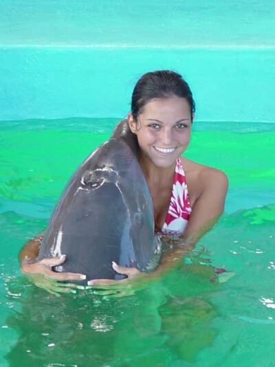 Puerto Plata: Dolphin Encounter at Ocean World - The 15-Minute Program, Lecture First, Then Hands-On Time