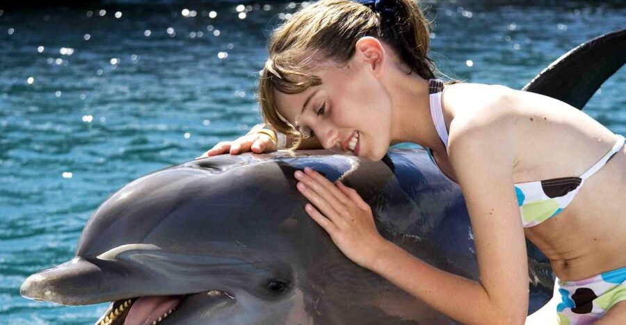 Puerto Plata: Dolphin Encounter at Ocean World - Price and value: Is $129 per person worth it?