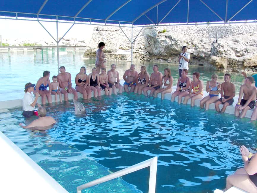 Puerto Plata: Dolphin Encounter at Ocean World - Getting ready: What to bring (and what to leave behind)