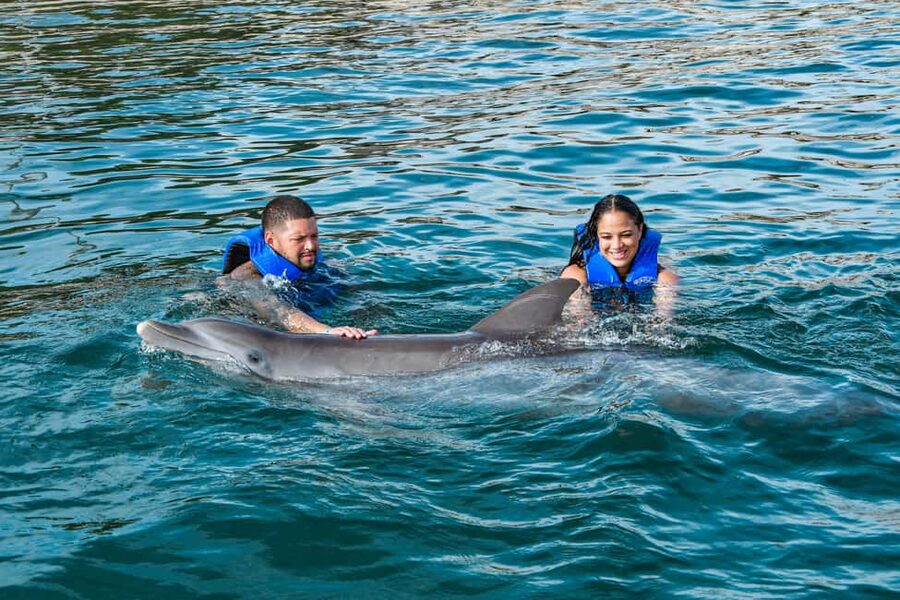 Puerto Plata: Ocean World Adventure Park Swim with Dolphins - Key things that make this VIP dolphin adventure work