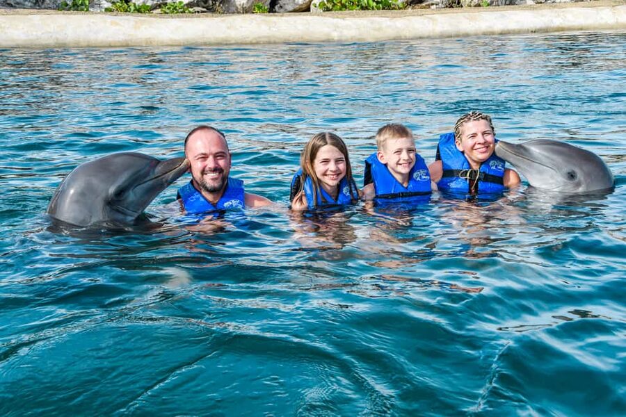 Puerto Plata: Ocean World Adventure Park Swim with Dolphins - Your time with dolphins: lecture, lagoon ride, and up-close moments
