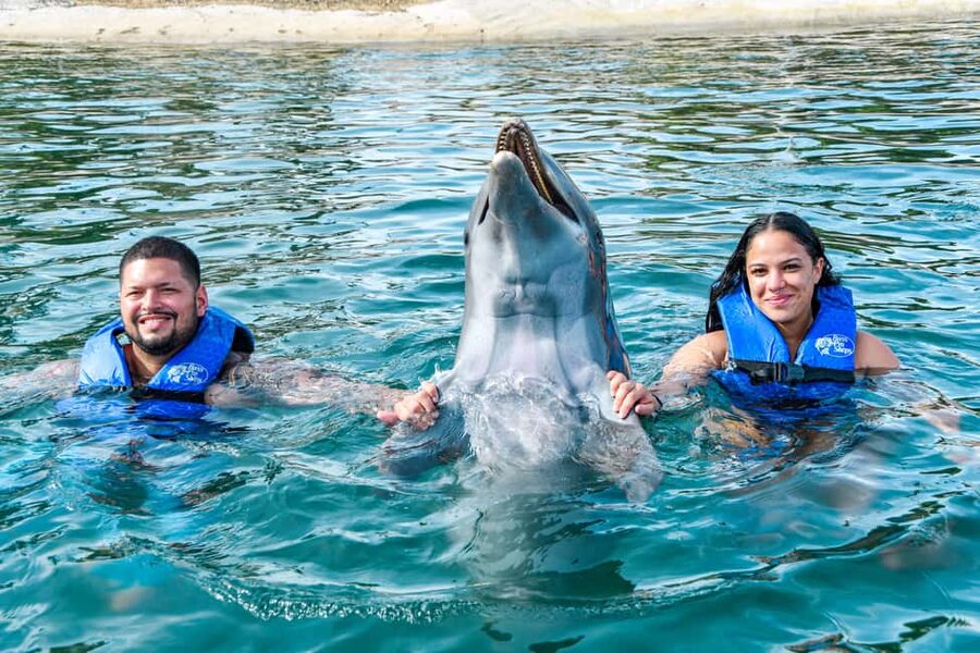 Puerto Plata: Ocean World Adventure Park Swim with Dolphins - Getting there and how the 8.5-hour day plays out