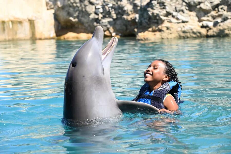 Puerto Plata Ocean World Dolphin Swim - Ocean World Puerto Plata: what the dolphin swim package really delivers