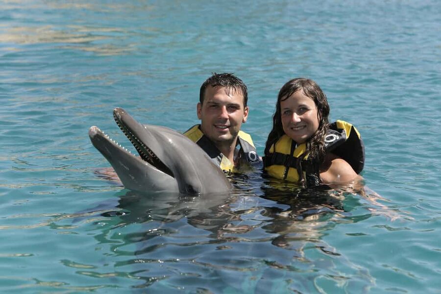 Puerto Plata Ocean World Dolphin Swim - Tropical Reef Aquarium snorkeling: the bonus most people will remember