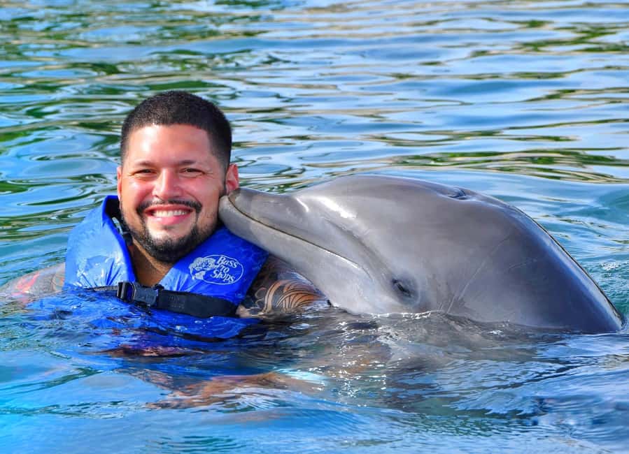 Puerto Plata Ocean World Dolphin Swim - The 30-minute dolphin swim: orientation, trainer signals, and safe fun