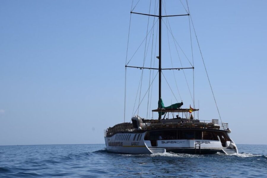 Puerto Rico : 2 hour Dolphin Catamaran Excursion - Quick facts you should know first