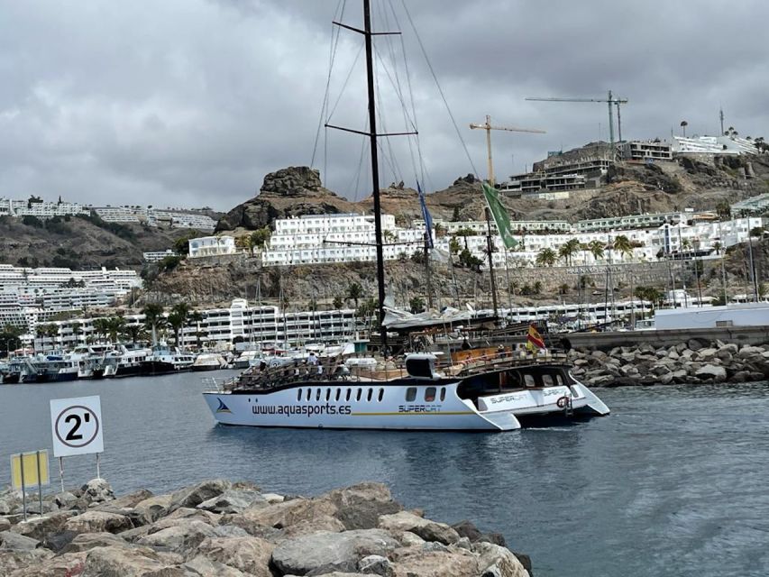 Puerto Rico : 2 hour Dolphin Catamaran Excursion - What the Experience Feels Like on Board