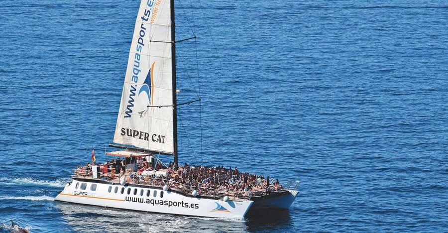 Puerto Rico : 2 hour Dolphin Catamaran Excursion - Key things I’d pay attention to