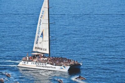 Puerto Rico : 2 hour Dolphin Catamaran Excursion - Setting Sail from Puerto Rico: What the South of Gran Canaria Feels Like