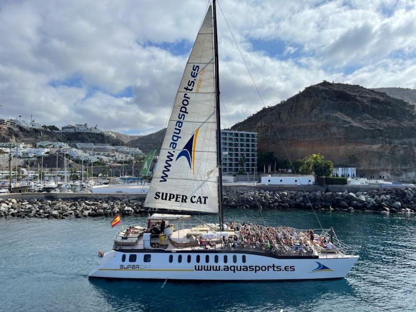 Puerto Rico : 2 hour Dolphin Catamaran Excursion - The Wildlife Odds: Dolphins, Turtles, Flying Fish, and Whales