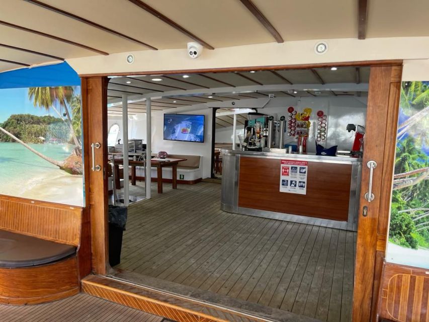 Puerto Rico : 2 hour Dolphin Catamaran Excursion - Where Pickup Works (and Where It Doesn’t) in the South