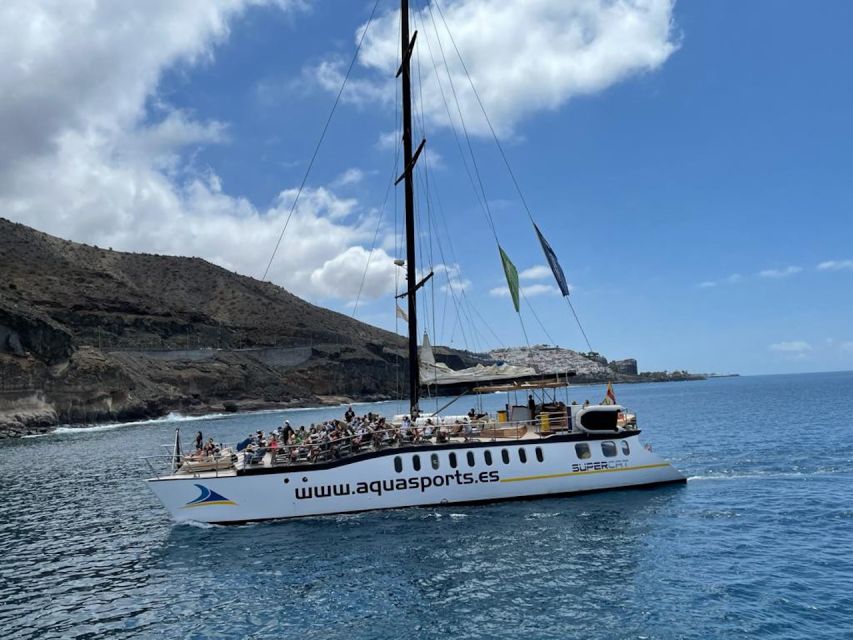 Puerto Rico : 2 hour Dolphin Catamaran Excursion - Practical Tips That Actually Help on the Water