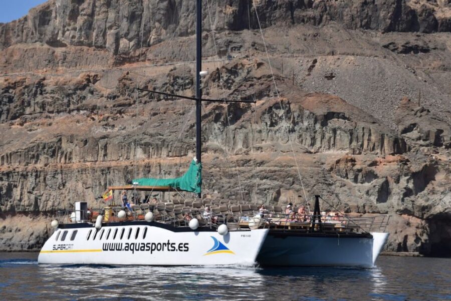 Puerto Rico : 2 hour Dolphin Catamaran Excursion - Price and Value: Why $41 Can Make Sense for This Short Trip