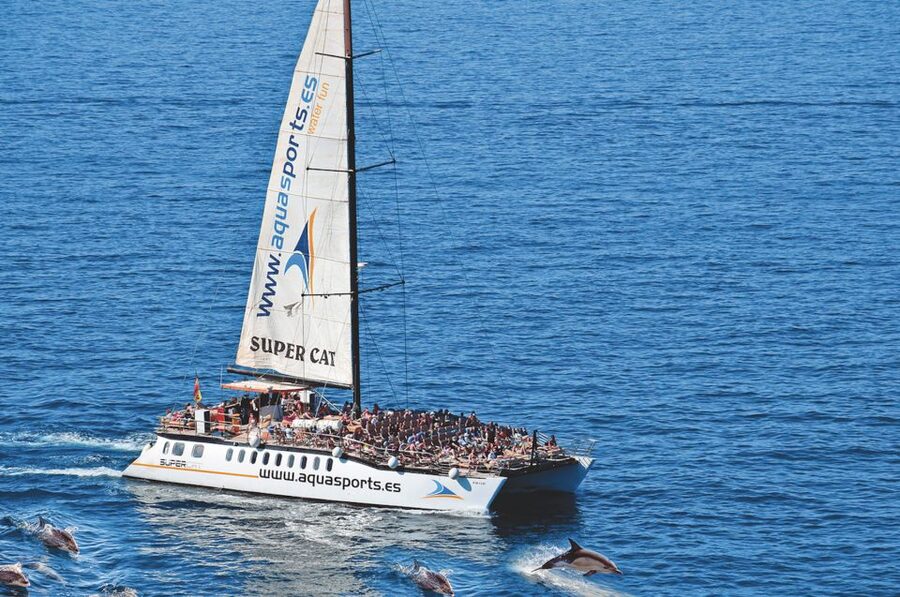 Puerto Rico : 2 hour Dolphin Catamaran Excursion - Setting Sail from Puerto Rico: What the South of Gran Canaria Feels Like