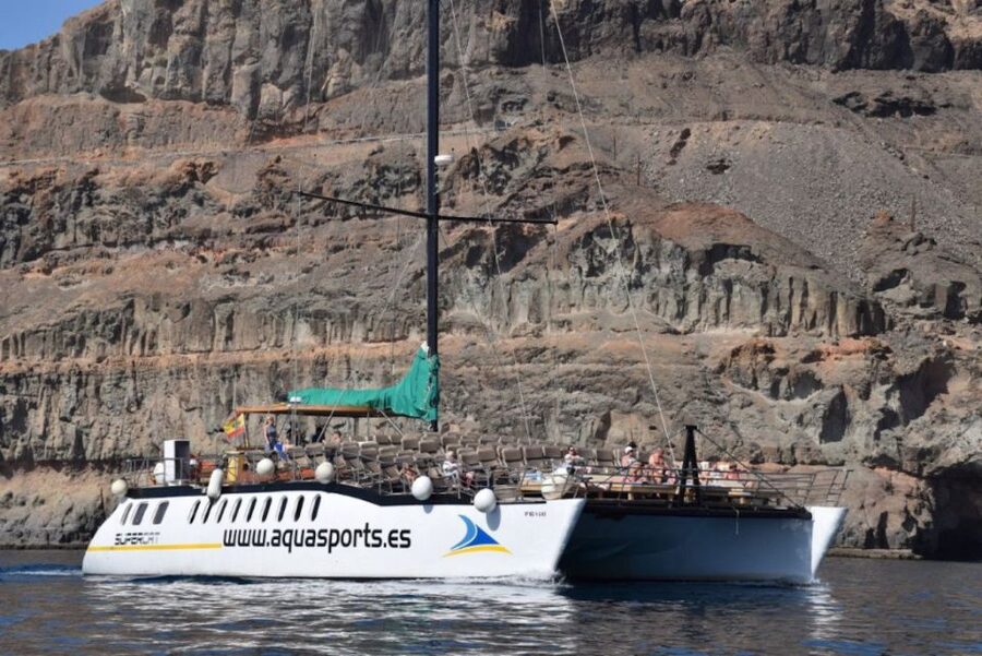 Puerto Rico de Gran Canaria: Premium Dolphin Catamaran Tour - Pickup zones and getting there without stress