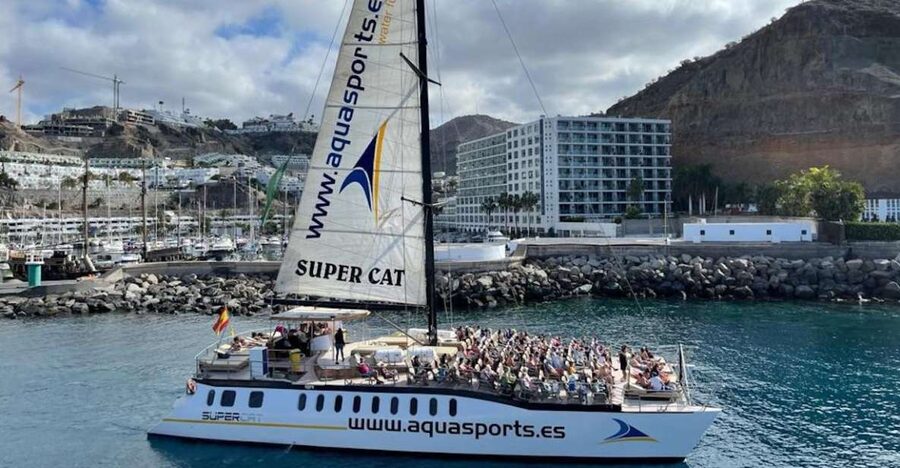 Puerto Rico de Gran Canaria: Premium Dolphin Catamaran Tour - Entering the water: Puerto Rico Base and the premium boat vibe