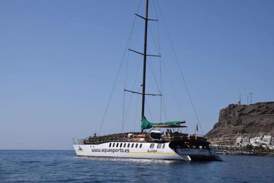 Puerto Rico de Gran Canaria: Premium Dolphin Catamaran Tour - Snorkeling and discounted water sports: how to think about the extras
