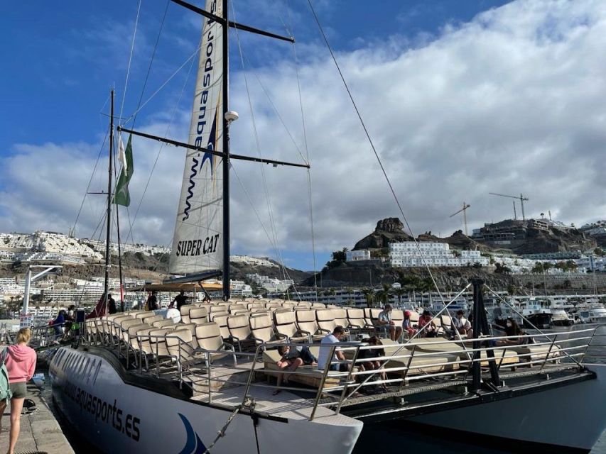 Puerto Rico de Gran Canaria: Premium Dolphin Catamaran Tour - Price and value: is $75 a fair deal for Gran Canaria?