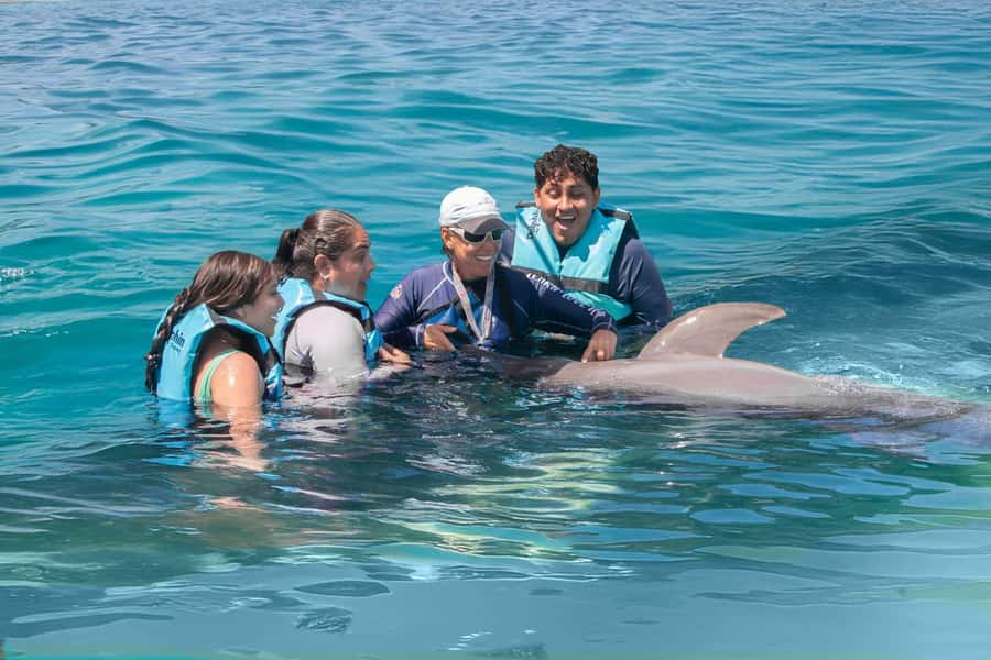 Puerto Vallarta: Dolphin Swimming and Aquaventuras Park - Key things that matter before you go