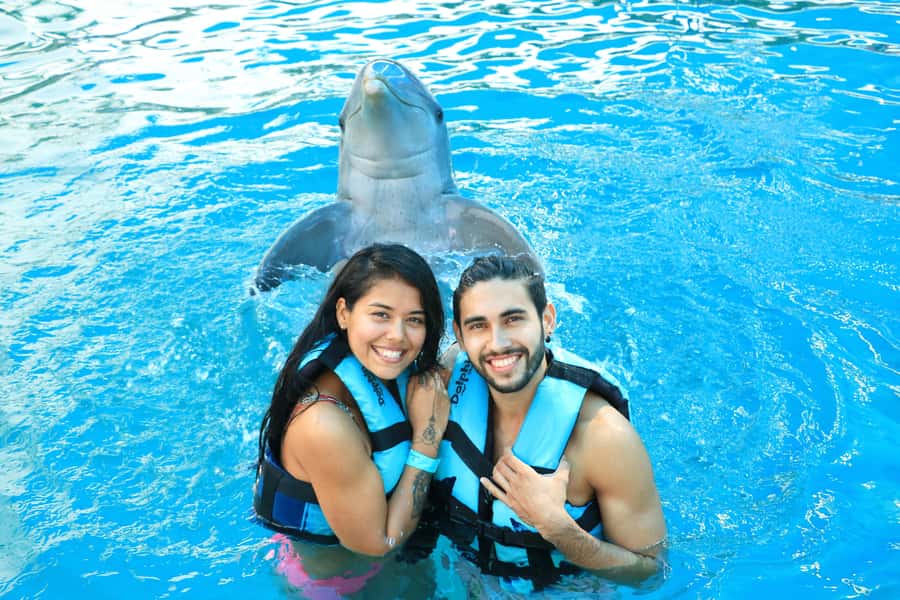 Puerto Vallarta: Dolphin Swimming and Aquaventuras Park - What’s included that you’ll actually use