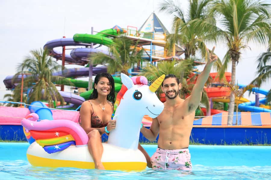 Puerto Vallarta: Dolphin Swimming and Aquaventuras Park - Who this is best for (and who should skip it)