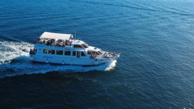 Pula: Brijuni Dolphins Sunset Cruise with Dinner and Drinks - The Arena Boat Setup: Terraces, Bar, and a Warm Escape