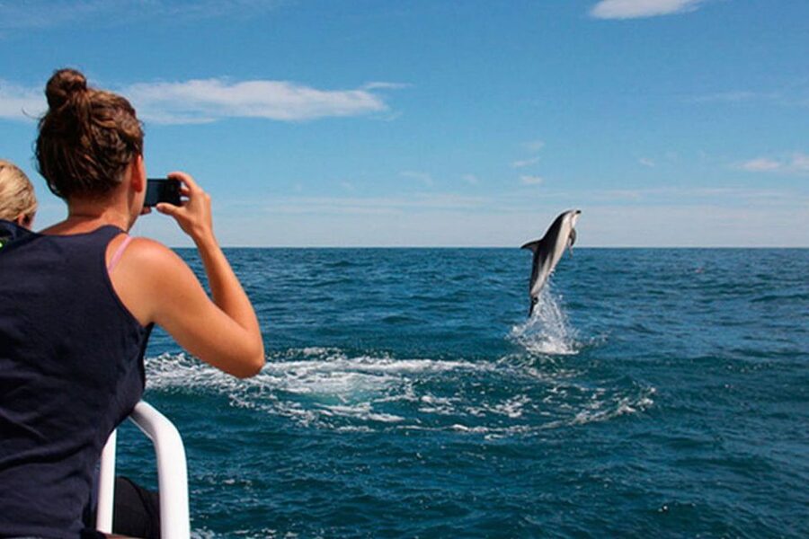 Pula: Brijuni Islands Dolphin Watching & Wildlife Cruise - From Korkyra docks: the first 30 minutes matter