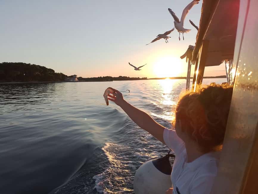 Pula: Brijuni National Park Dolphin Watching Tour w/Dinner - Traditional Istrian Dinner and Unlimited Drinks on Board
