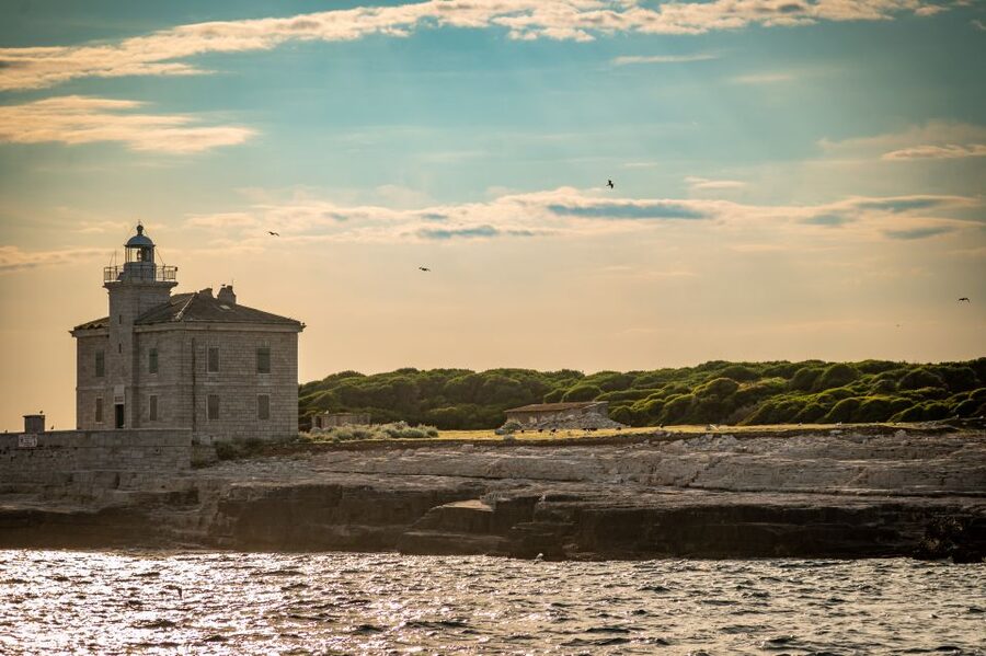 Pula: Brijuni National Park Sunset, Dolphins & Dinner Cruise - Price and value: is $64 worth it for 3 hours?