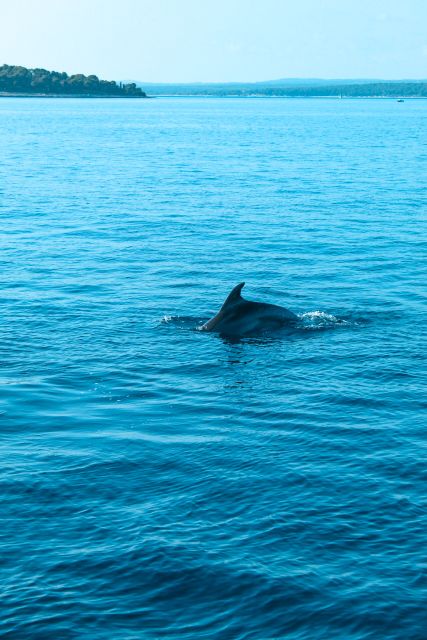 Pula: Dolphin&Sunset Cruise in Brijuni with Dinner&Drinks - Brijuni National Park time: stories that make the scenery make sense
